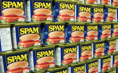 История возникновения и виды спама