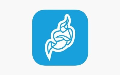 Jitsi мессенджер для олдов