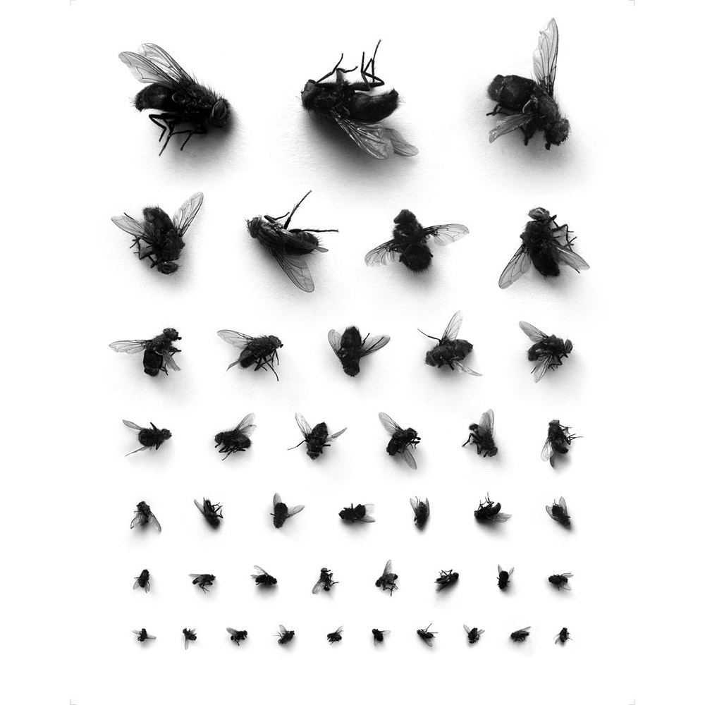 Не берите трубку, если видите этот номер